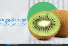 فوائد الكيوي الصحية: مصدر غني بفيتامين C فوائد الكيوي الصحية