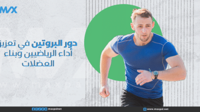 دور البروتين في تعزيز أداء الرياضيين وبناء العضلات دور البروتين في تعزيز أداء الرياضيين وبناء العضلات