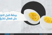 مشكلة الأرق: بيضة قبل النوم حل فعال لنوم أفضل مشكلة الأرق: بيضة قبل النوم حل فعال لنوم أفضل