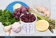 6 أطعمة لتنظيف الكلى وتحسين صحتها تنظيف الكلى وتحسين صحتها