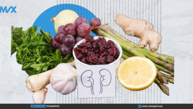 6 أطعمة لتنظيف الكلى وتحسين صحتها تنظيف الكلى وتحسين صحتها