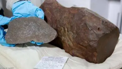 الصخرة الأغلى من الذهب الصخرة الأغلى من الذهب