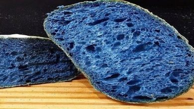 فاكهة غريبة تحول الأطعمة إلى اللون الازرق توت الجينيابو