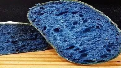 فاكهة غريبة تحول الأطعمة إلى اللون الازرق توت الجينيابو