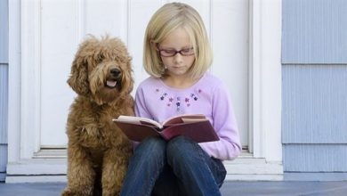 وجود كلب يساعد الأطفال على الدراسة وجود كلب يساعد الأطفال على الدراسة