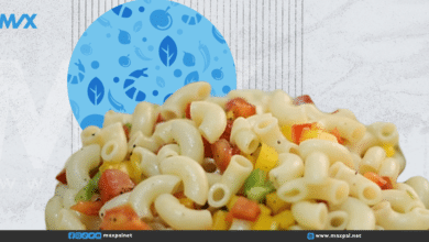 سلطة المعكرونة بالفلفل الملون والمايونيز طريقة عمل سلطة المعكرونة بالفلفل الملون والمايونيز