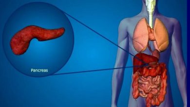 الأعراض الرئيسية لالتهاب وأمراض البنكرياس الأعراض الرئيسية لالتهاب وأمراض البنكرياس