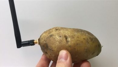 البطاطس الذكية: مساعدك الشخصي الجديد! البطاطس الذكية: مساعدك الشخصي الجديد!