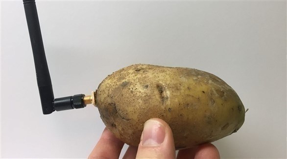 البطاطس الذكية تجيب على أسئلتك