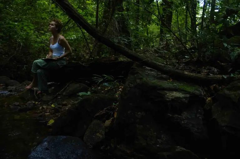 رسامة بريطانية تحمي الغابات من تغيرات المناخ بالريشة والألوان رسامة بريطانية تحمي الغابات من تغيرات المناخ بالريشة والألوان