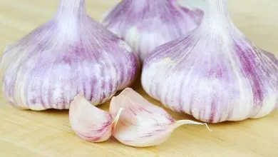 هل يحمينا الثوم من فيروس كورونا؟ إليكم الإجابة الثوم