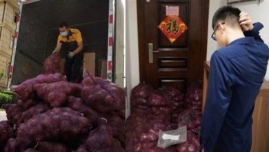 البصل كهدية انتقام: شابة صينية ترسل طنًا من البصل لصديقها السابق البصل كهدية انتقام: شابة صينية ترسل طنًا من البصل لصديقها السابق