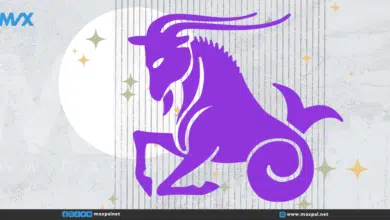 صفات برج الجدي: العقلانية والتفاني في كل جوانب الحياة صفات برج الجدي: العقلانية والتفاني في كل جوانب الحياة