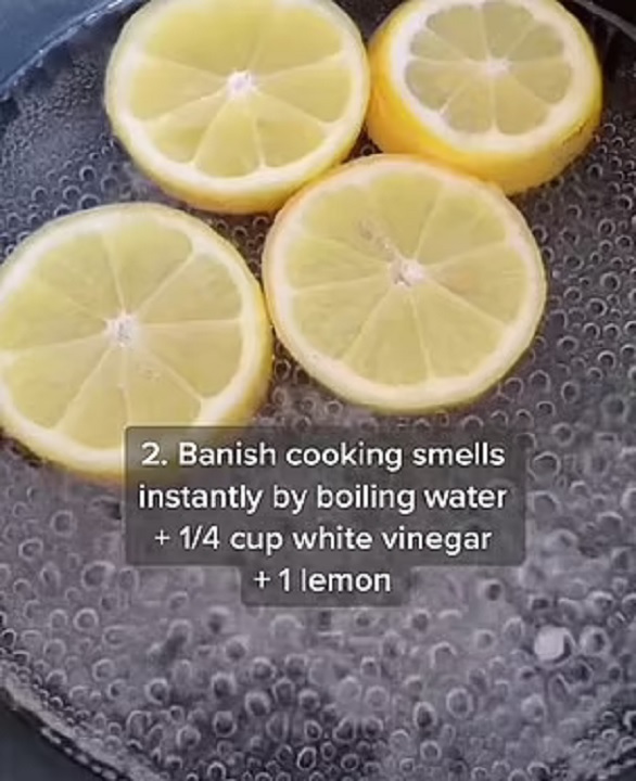 3 حيل للتخلص من الروائح الكريهة في المطبخ 3 حيل للتخلص من الروائح الكريهة في المطبخ