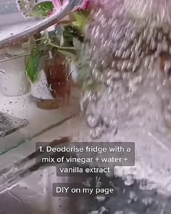 تنظيف الثلاجة 1