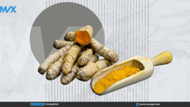 فوائد الكركم الصحية: تعرف على أسرار هذا النبات العجيب فوائد الكركم الصحية: تعرف على أسرار هذا النبات العجيب