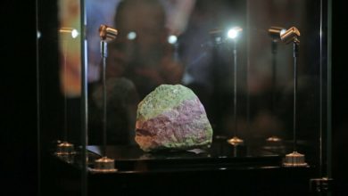 دبي تكشف أحد أكبر أحجار الياقوت في العالم دبي تكشف أحد أكبر أحجار الياقوت في العالم