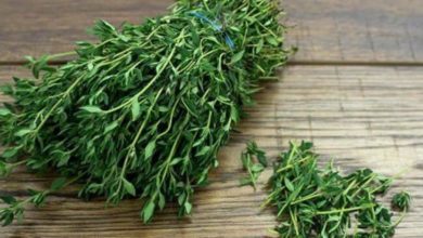تعرف على فوائد الزعتر وبعض الوصفات لاستخدامه تعرف على فوائد الزعتر وبعض الوصفات لاستخدامه