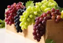 فوائد العنب للصحة والجمال فوائد العنب للصحة والجمال