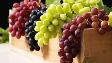 فوائد العنب للصحة والجمال فوائد العنب للصحة والجمال