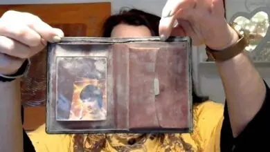 استعادة محفظة مفقودة بعد 40 عامًا: امرأة في ألمانيا تعيش لحظة نادرة استعادة محفظة مفقودة بعد 40 عامًا: امرأة في ألمانيا تعيش لحظة نادرة