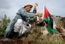 فلسطين: 47 عاما على ذكرى يوم الأرض الخالد