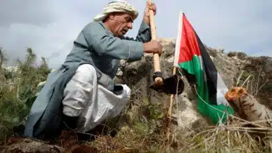 فلسطين: 47 عاما على ذكرى يوم الأرض الخالد فلسطين: 47 عاما على ذكرى يوم الأرض الخالد