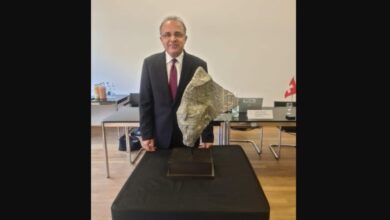 استعادة مصر لرأس تمثال الملك رمسيس الثاني من سويسرا استعادة مصر لرأس تمثال الملك رمسيس الثاني من سويسرا