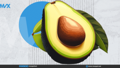 فوائد الأفوكادو: كنز من الفيتامينات وأسرار صحية مذهلة فوائد الأفوكادو: كنز من الفيتامينات وأسرار صحية مذهلة