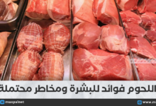 تأثير اللحوم على صحة البشرة: الفوائد والمخاطر والنصائح للتوازن الأمثل تأثير اللحوم على صحة البشرة: الفوائد والمخاطر