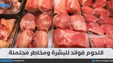 تأثير اللحوم على صحة البشرة: الفوائد والمخاطر والنصائح للتوازن الأمثل تأثير اللحوم على صحة البشرة: الفوائد والمخاطر