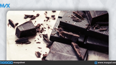 فوائد الشوكولاتة الداكنة: تعزيز الصحة بقطعة لذيذة من الكاكاو