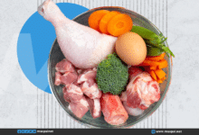 زيادة البروتين في الجسم: مخاطر صحية وأضرار على غير الرياضيين زيادة البروتين في الجسم: مخاطر صحية وأضرار على غير الرياضيين