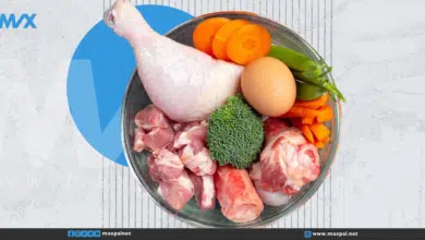 زيادة البروتين في الجسم: مخاطر صحية وأضرار على غير الرياضيين زيادة البروتين في الجسم: مخاطر صحية وأضرار على غير الرياضيين